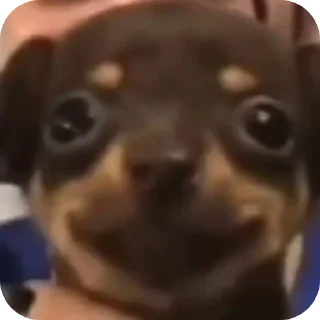 Стикер Аофхахф - 3