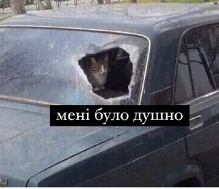 Стикер Шо - 7