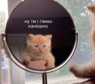 Стикер Шо - 1