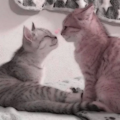 животное млекопитающее кошка