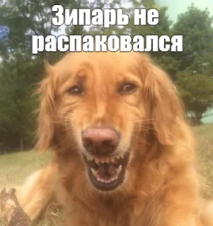 Стикер DevSecOps_pain - 0