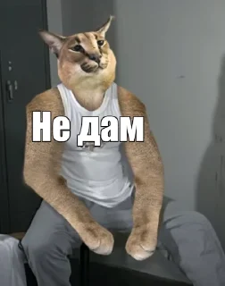 Стикер DevSecOps_pain - 9