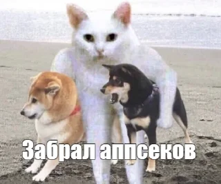 Стикер DevSecOps_pain - 8