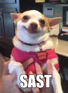 Стикер DevSecOps_pain - 10