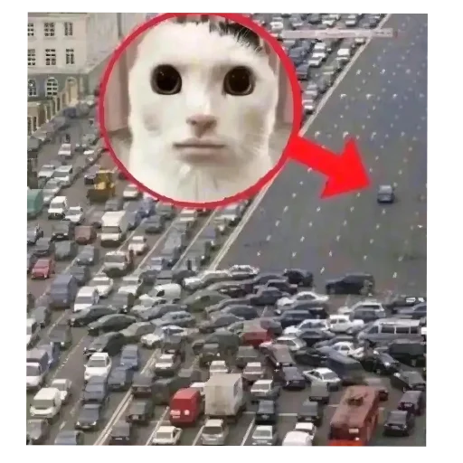 Sticker Apprppriaetauni - 1