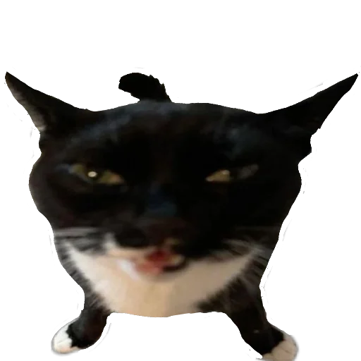 Sticker Apprppriaetauni - 1