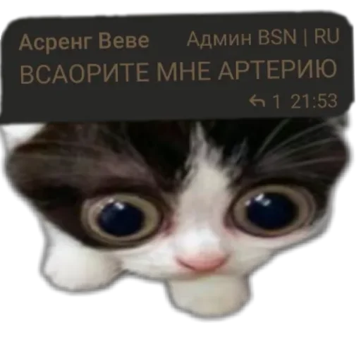 Стикер Apprppriaetauni - 1