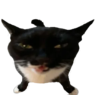 Стикер Аппрпприаетьауни - 2