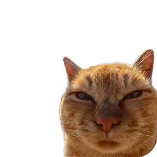 Стикер Аппрпприаетьауни - 7