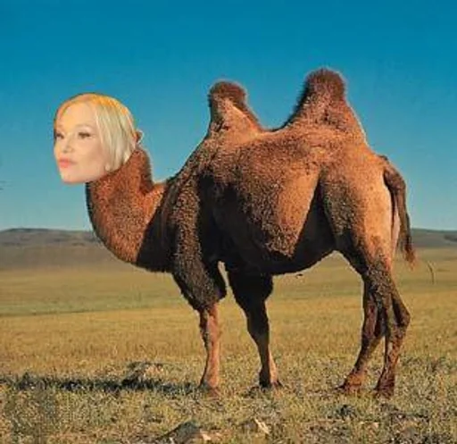 Sticker Ыг :: @fStikBot - 2