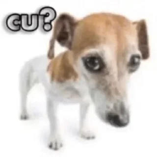 Sticker Больше стикеров 👉🏻 @stickertg4 - 11