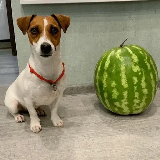 Sticker Больше стикеров 👉🏻 @stickertg4 - 8