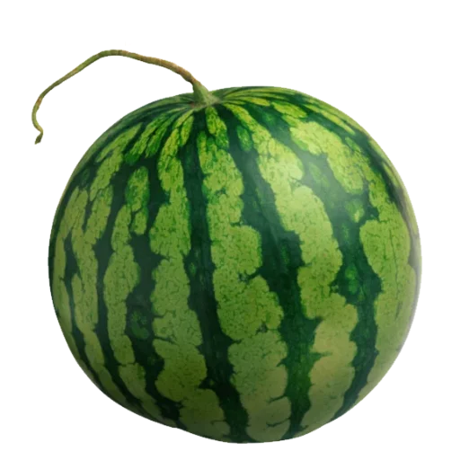 Арбуз арбуз привет - 