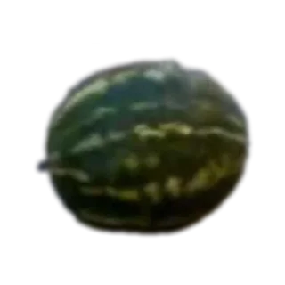 Sticker Арбуз арбуз привет - 7