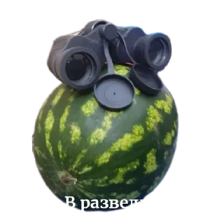 Sticker Арбуз арбуз привет - 0