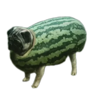 Sticker Арбуз арбуз привет - 9