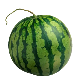 Sticker Арбуз арбуз привет - 8