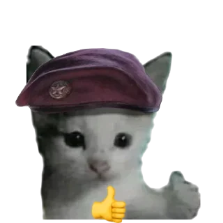 кошка животное свеча