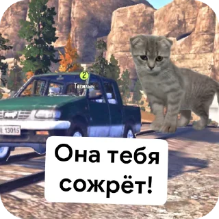 транспортное средство наземный автомобиль автомобиль