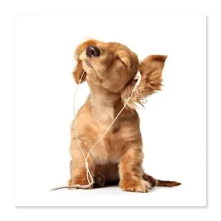 Стикер ▒⃟𝄞🇦 🇷 𝐄 🇳 🇦 ＤＡ 🇲 Ú🇸 🇮 🇨 🇦͢▒⃟𝄞 - 9