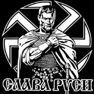 Sticker Арийская раса✊🏻 - 5