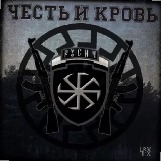 Sticker Арийская раса✊🏻 - 10