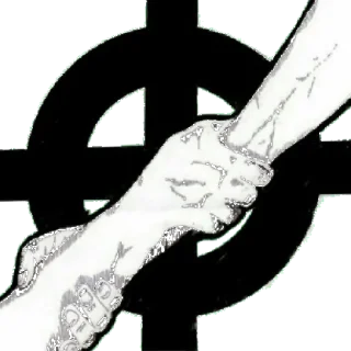 Sticker Арийская раса✊🏻 - 7