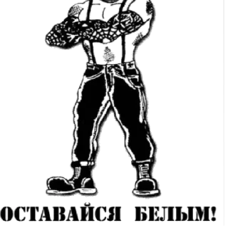 Sticker Арийская раса✊🏻 - 3