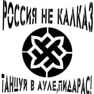 Sticker Арийская раса✊🏻 - 8