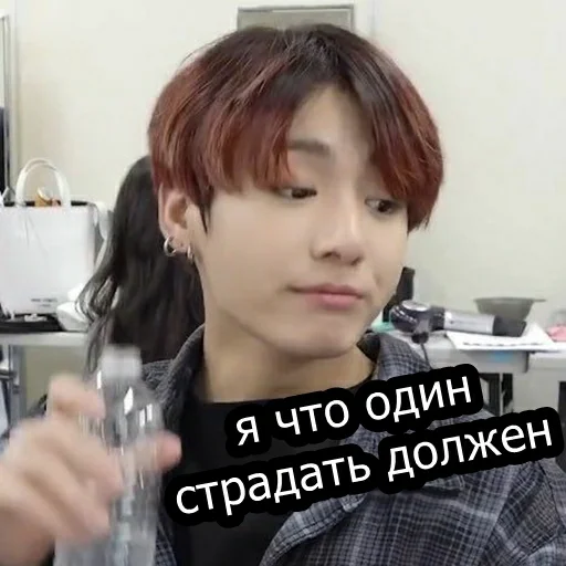 Человек человеческое лицо комнатный