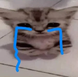 Стикер Kitties - @aris_stickers - 7