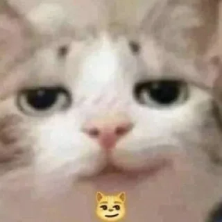 Стикер Kitties - @aris_stickers - 11