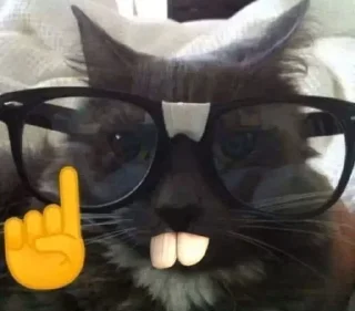 Стикер Kitties - @aris_stickers - 0