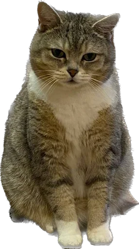 Стикер Arkady0810 - 1