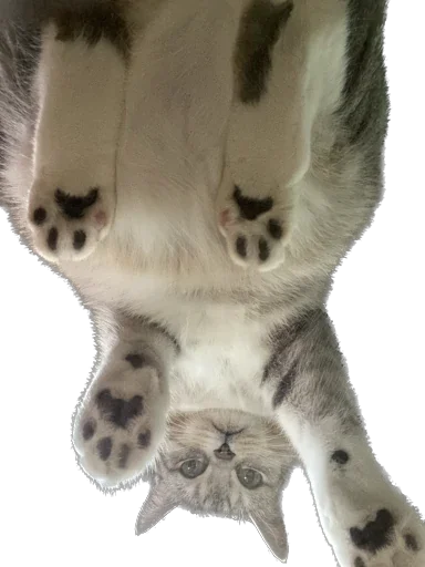 Стикер Arkady0810 - 1