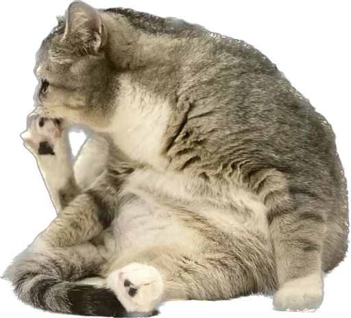 Стикер Arkady0810 - 1