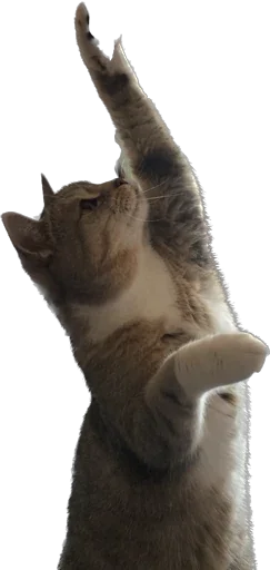 Sticker Arkady0810 - 1