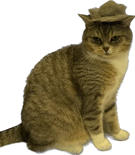 Стикер Arkady0810 - 1