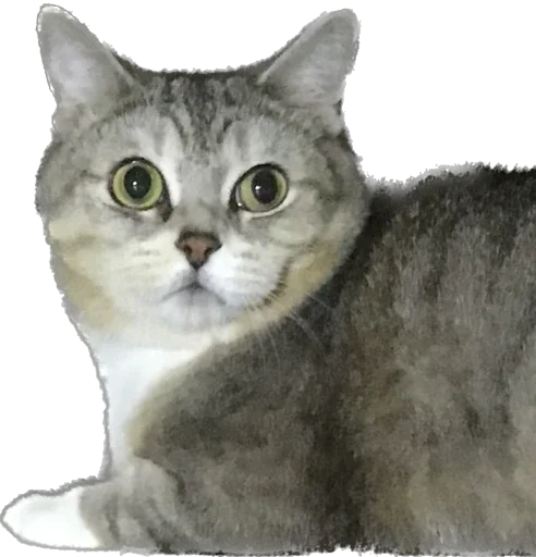 Стикер Arkady0810 - 1