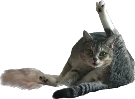 Стикер Arkady0810 - 1