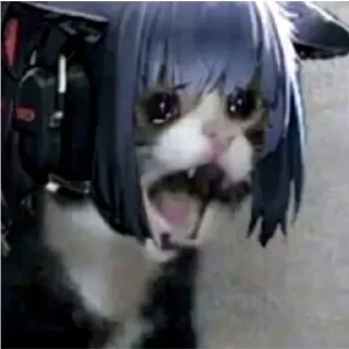 Стикер ARKnights random by @Arknights_EU - 0