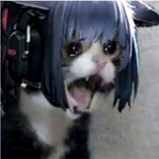 Стикер Arknights cursed meme - 3