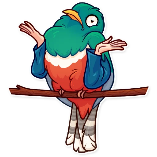 bird drawing clipart