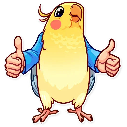 bird clipart drawing