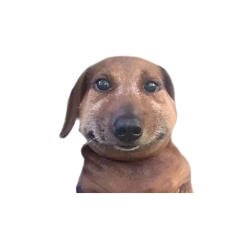 Стикер Арматура любви стикеры - 1