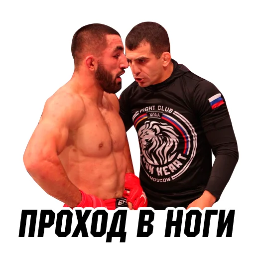 Sticker ArmeniaMMA - 1