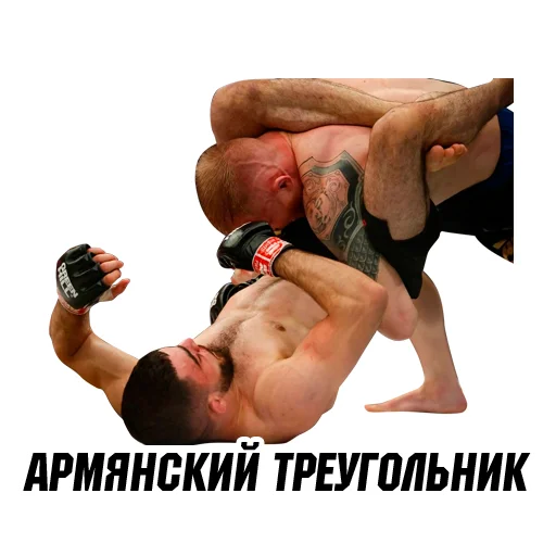 Sticker ArmeniaMMA - 1