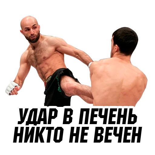 Sticker ArmeniaMMA - 1