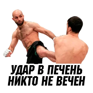 Sticker @ArmeniaMMA - 2