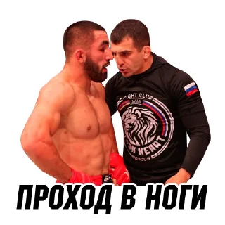 Sticker @ArmeniaMMA - 11